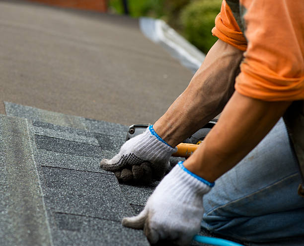 Best Gutter Installation and Roofing  in Churchville, PA